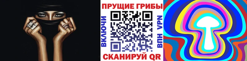кракен ТОР  купить наркоту  Плавск  Галлюциногенные грибы MAGIC MUSHROOMS 